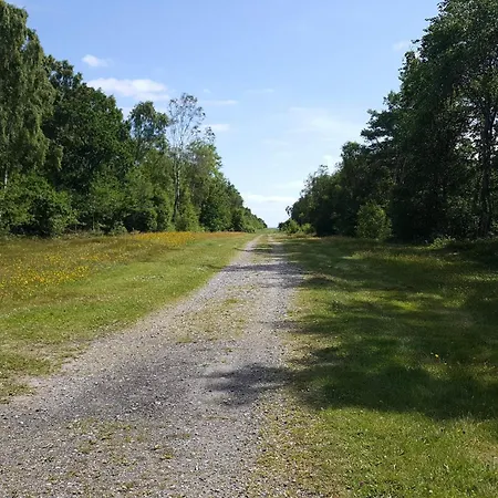 8 Person In Hadsund-by Traum *