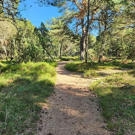 8 Person In Hadsund-by Traum